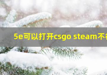 5e可以打开csgo steam不行